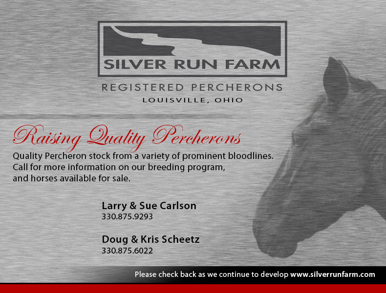 Quality Percheron stock from a variety of prominent bloodlines. Call for more information on our breeding program, and horses available for sale. Larry & Sue Carlson: 330.875.9293, or Doug & Kris Scheetz 330.875.6022